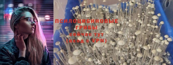 героин Алексин