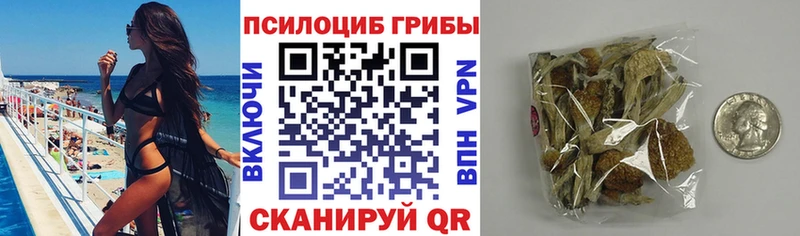 Псилоцибиновые грибы мицелий blacksprut зеркало Феодосия купить закладку