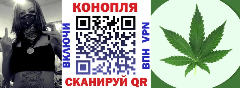 где найти   Феодосия  Шишки марихуана ГИДРОПОН 